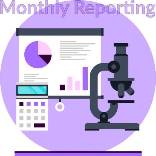 Monthly Google Analytics Website Reporting